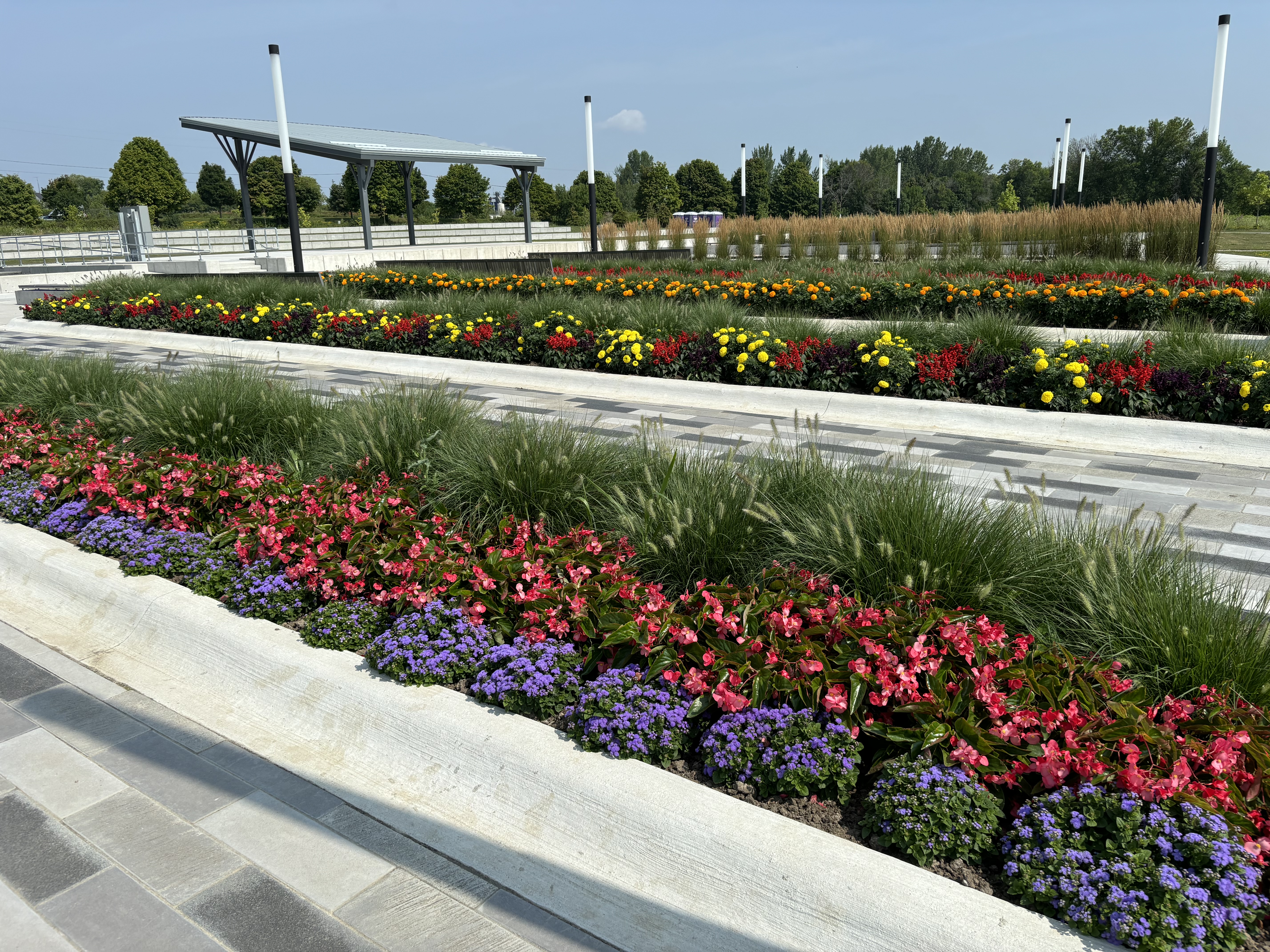 Rows of purple and red flowers and bushes.